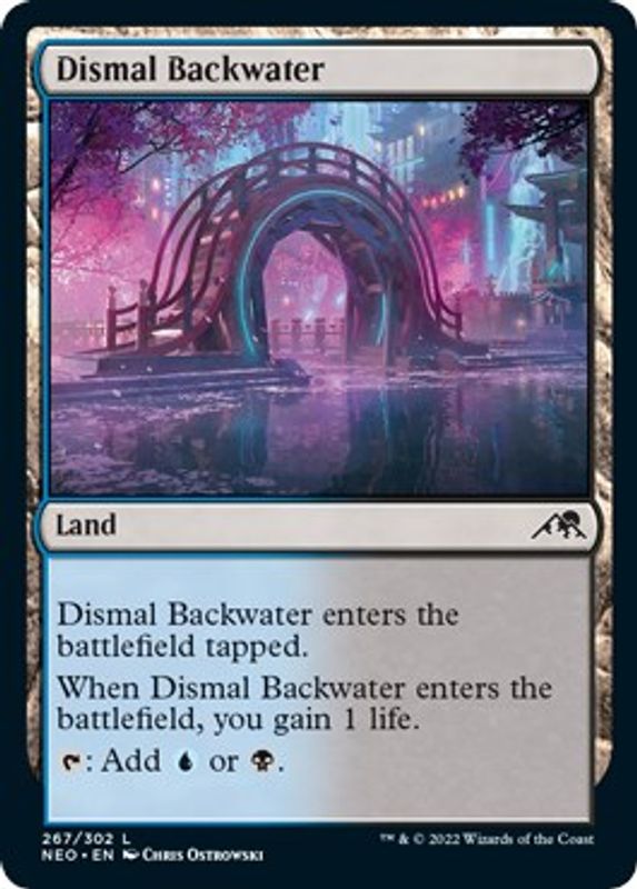 Dismal Backwater - 267 - Land