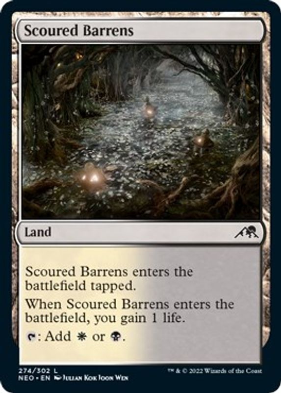 Scoured Barrens - 274 - Land