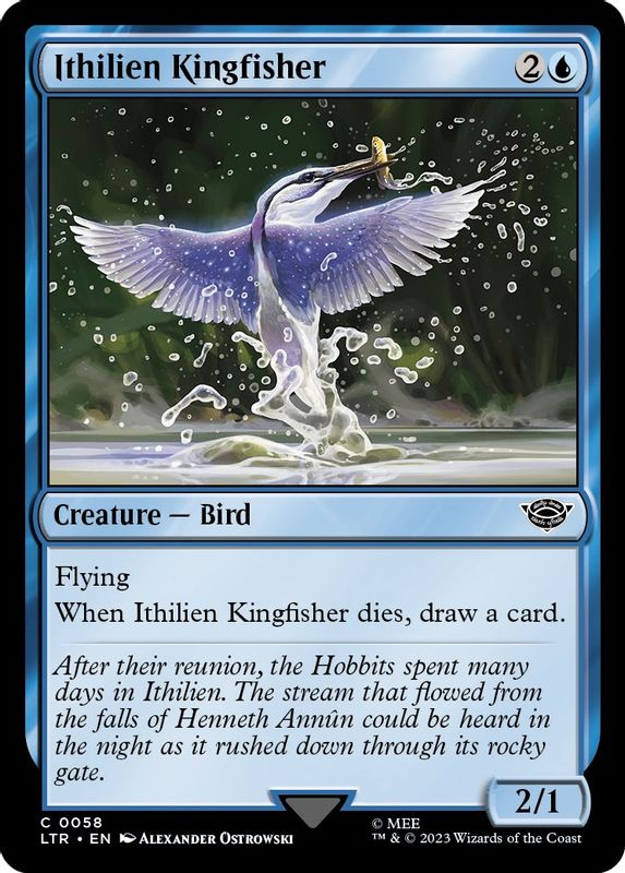 Ithilien Kingfisher - 58 - Common