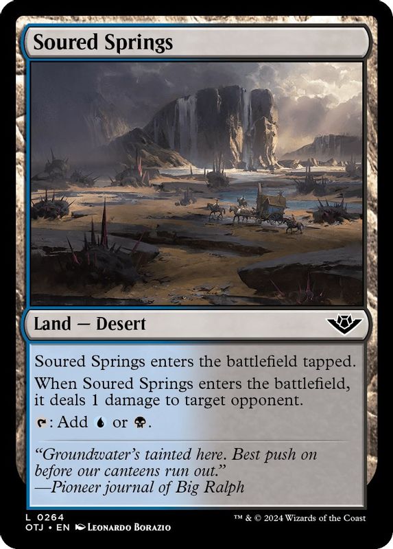 Soured Springs - 264 - Land