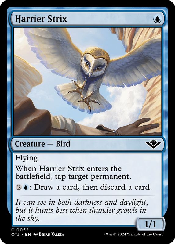 Harrier Strix - 52 - Common