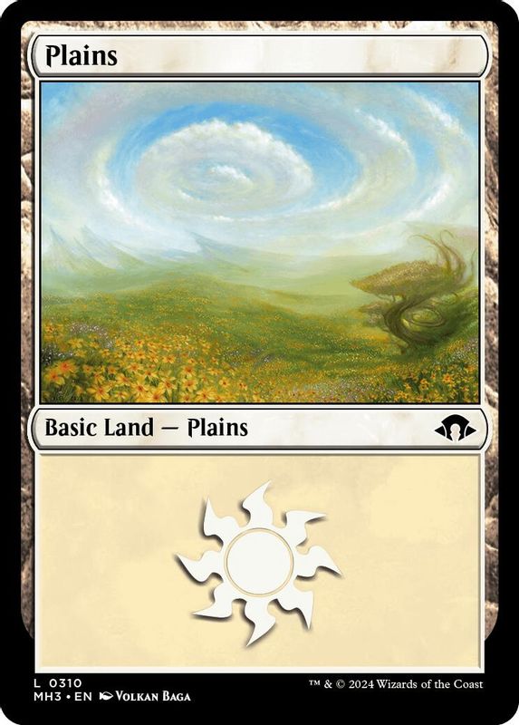 Plains (0310) - 310 - Land