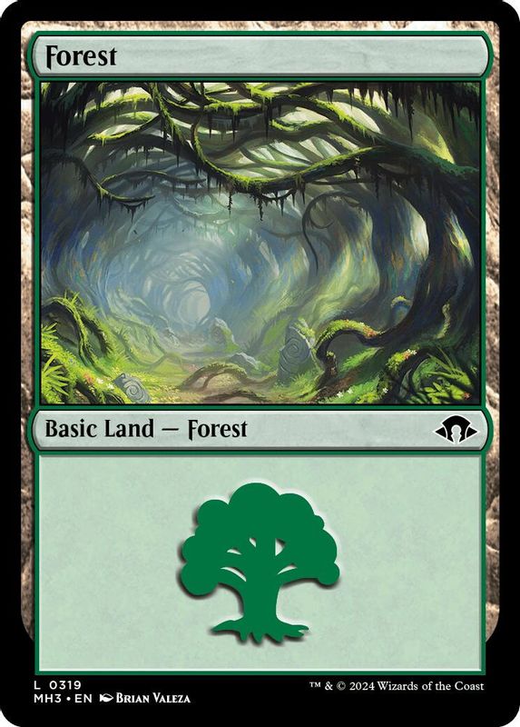 Forest (0319) - 319 - Land