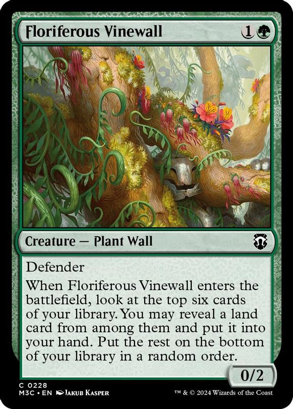 Floriferous Vinewall - Common