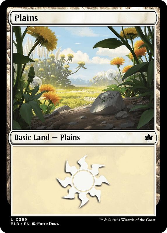 Plains (0369) - 269 - Land