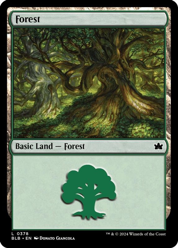 Forest (0378) - 378 - Land