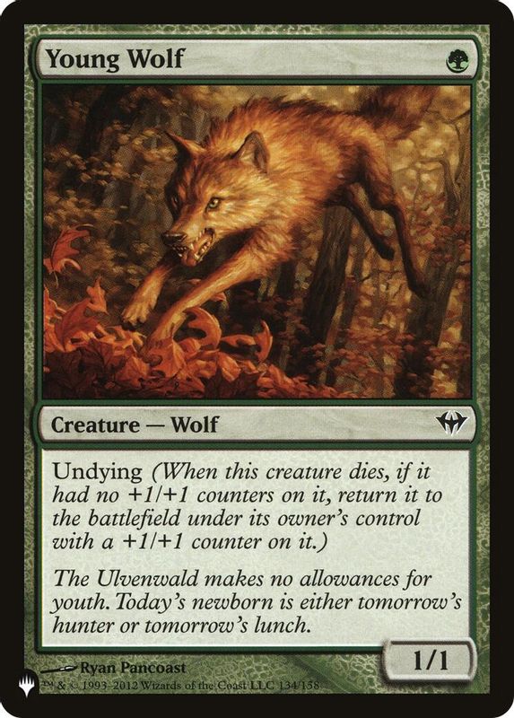 Young Wolf - 134 - Common