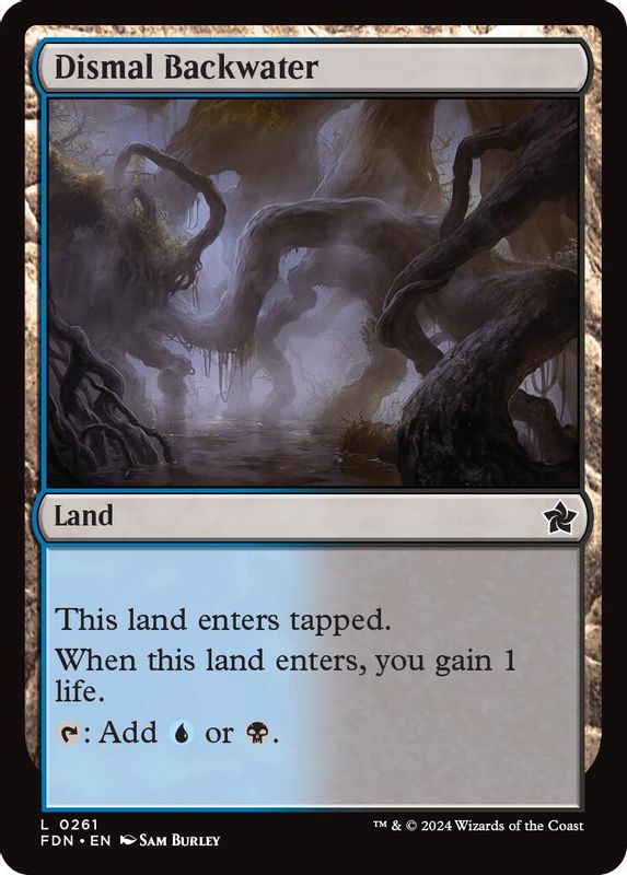 Dismal Backwater - 261 - Land