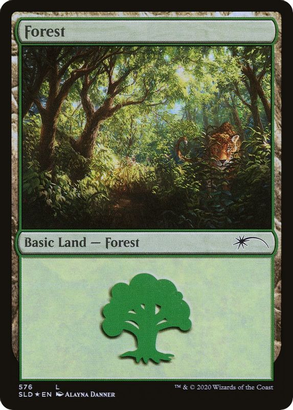 Forest (576) - 576 - Land