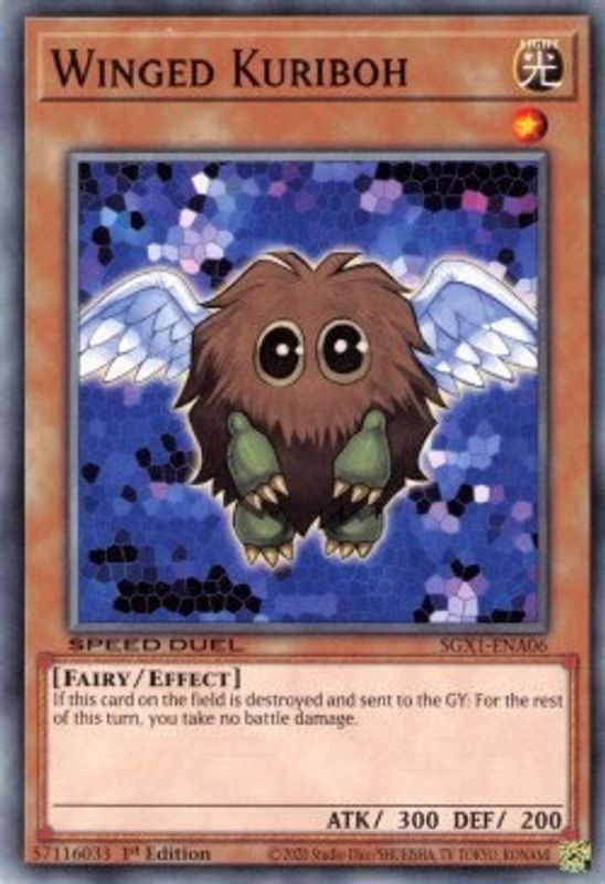 Winged Kuriboh - SGX1-ENA06 - Common