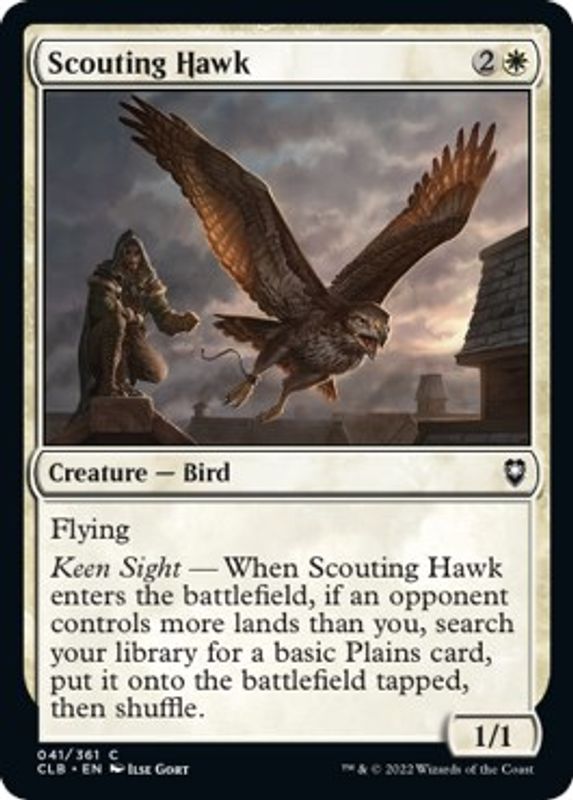 Scouting Hawk - 41 - Common