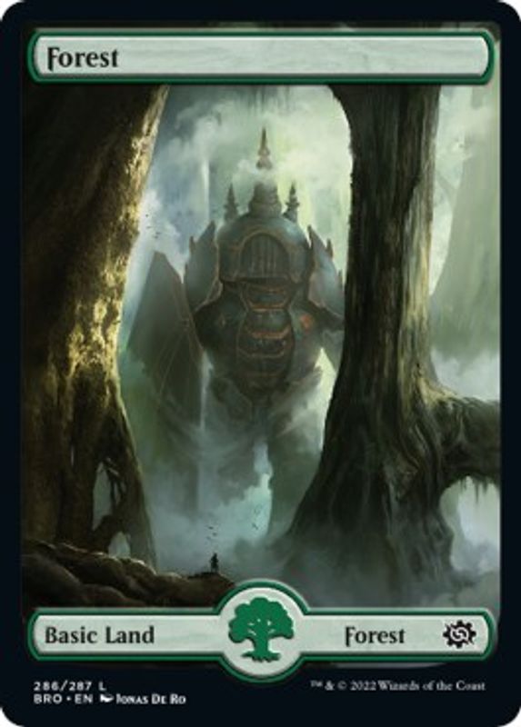 Forest (286) - Full Art - 286 - Land