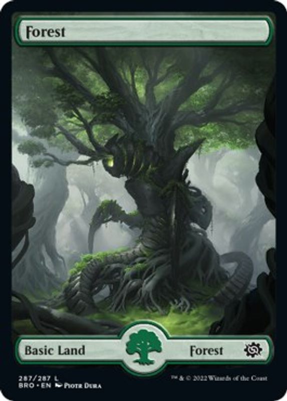 Forest (287) - Full Art - 287 - Land