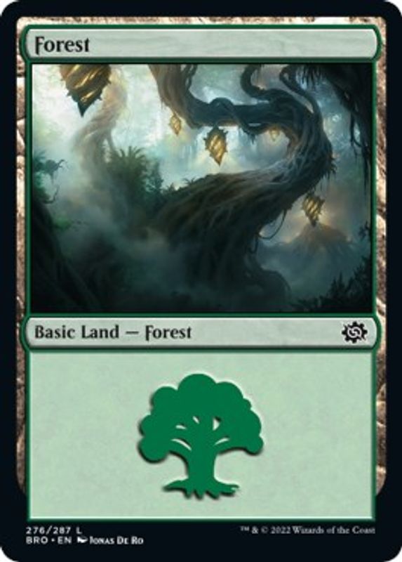 Forest (276) - 276 - Land