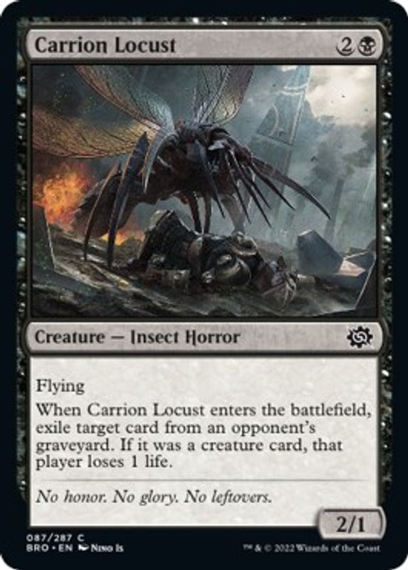 Carrion Locust - 87 - Common