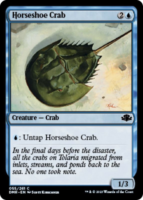 Horseshoe Crab - 55 - Common