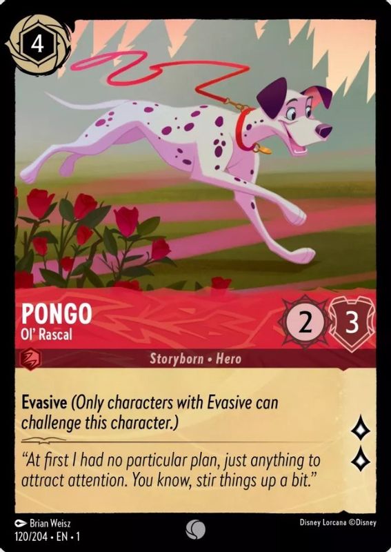 Pongo - 120/204 - Common