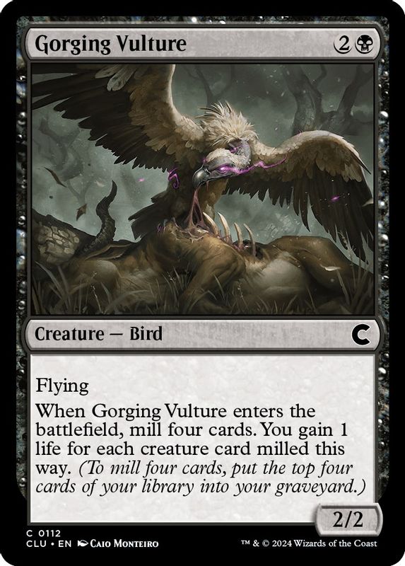 Gorging Vulture - 112 - Common