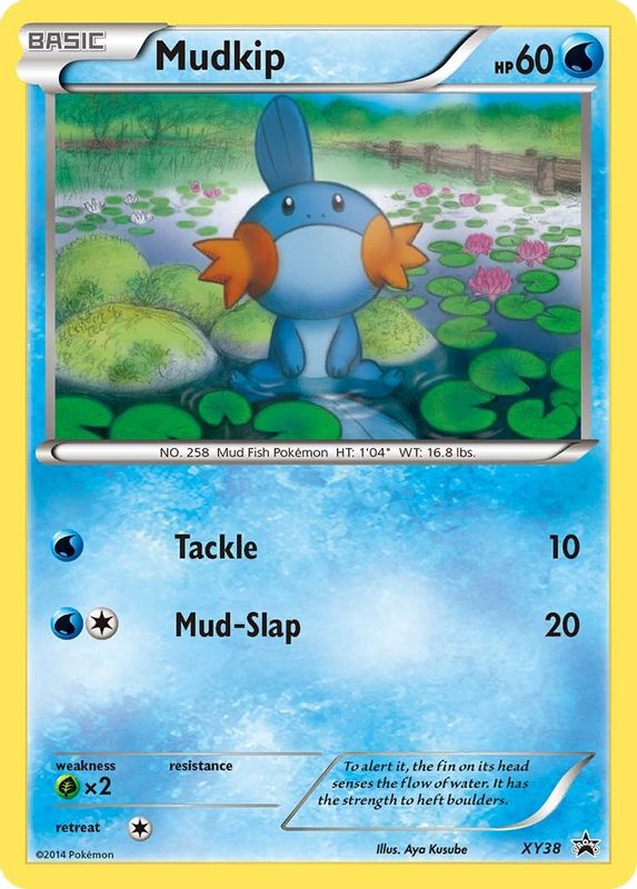 Mudkip - XY38 - XY38 - Promo